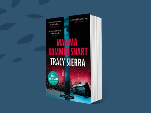 Abonnementsbanner "Lesepause Krim"