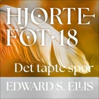 Omslag av "Det tapte spor"