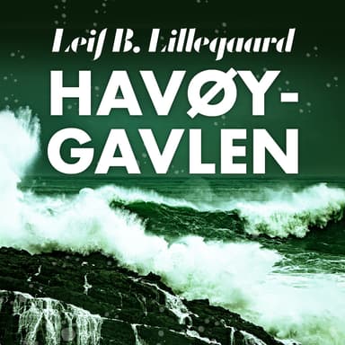 Omslag av "Havøygavlen"