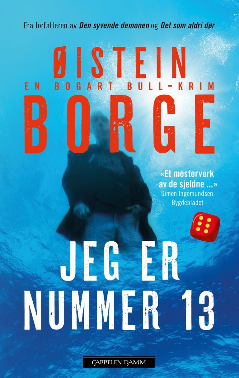 Omslag Jeg er nummer 13 av Øistein Borge (Ebok)
