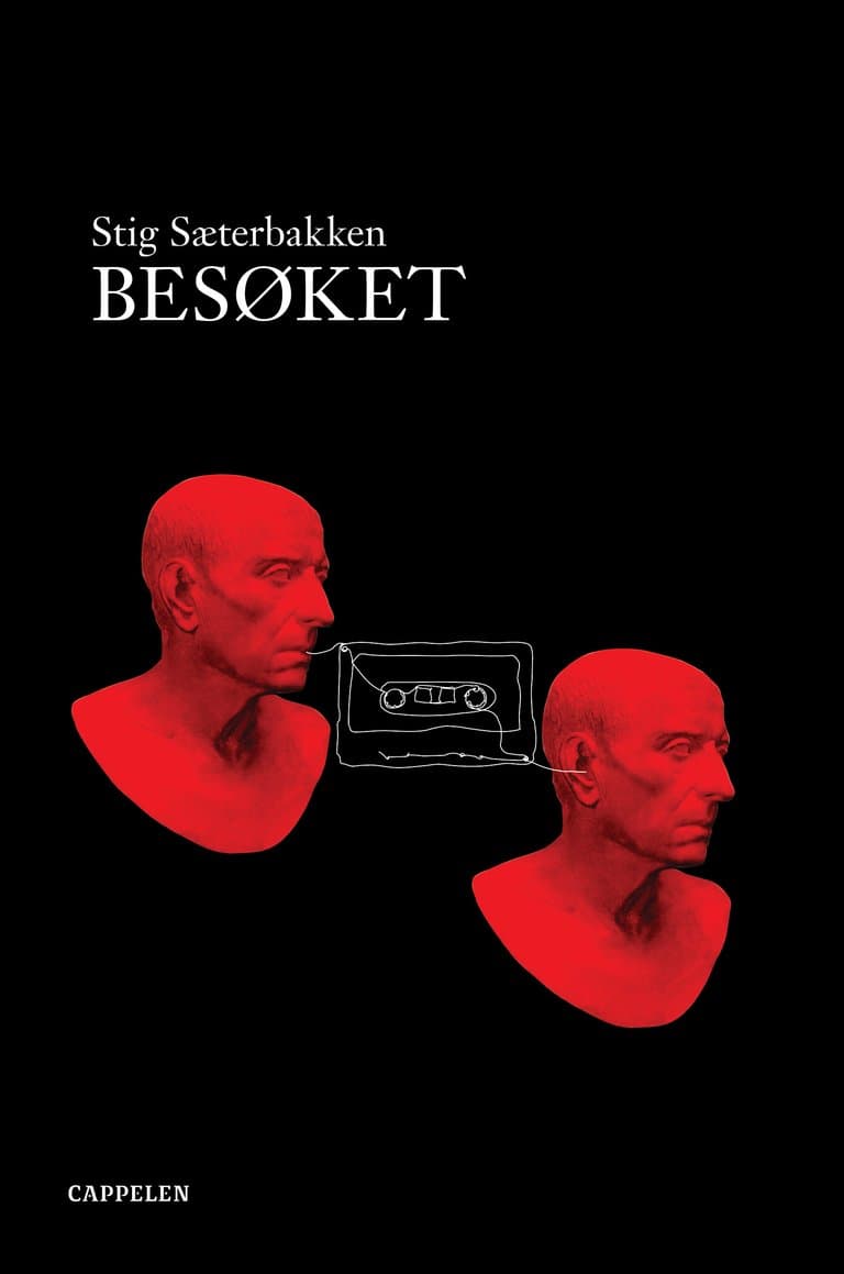 Omslag Besøket av Stig Sæterbakken (Ebok)