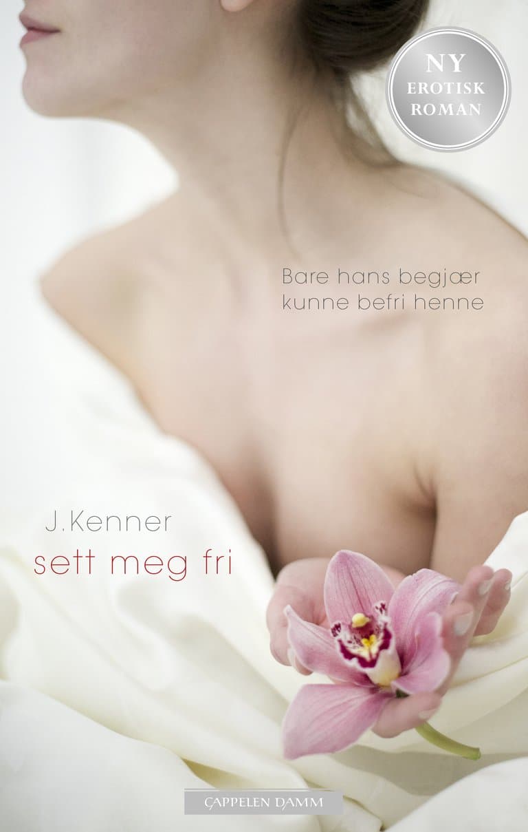 Omslag Sett meg fri av Julie Kenner (Innbundet)