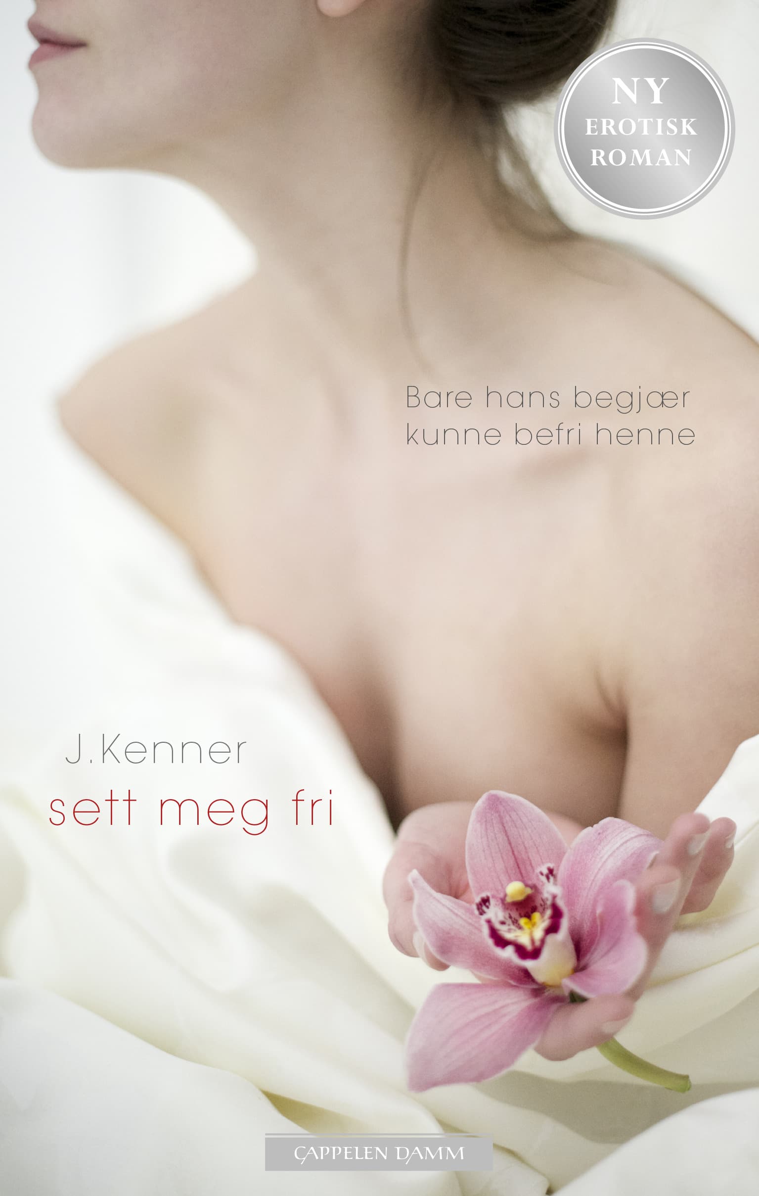 Omslag Sett meg fri av Julie Kenner (Innbundet)