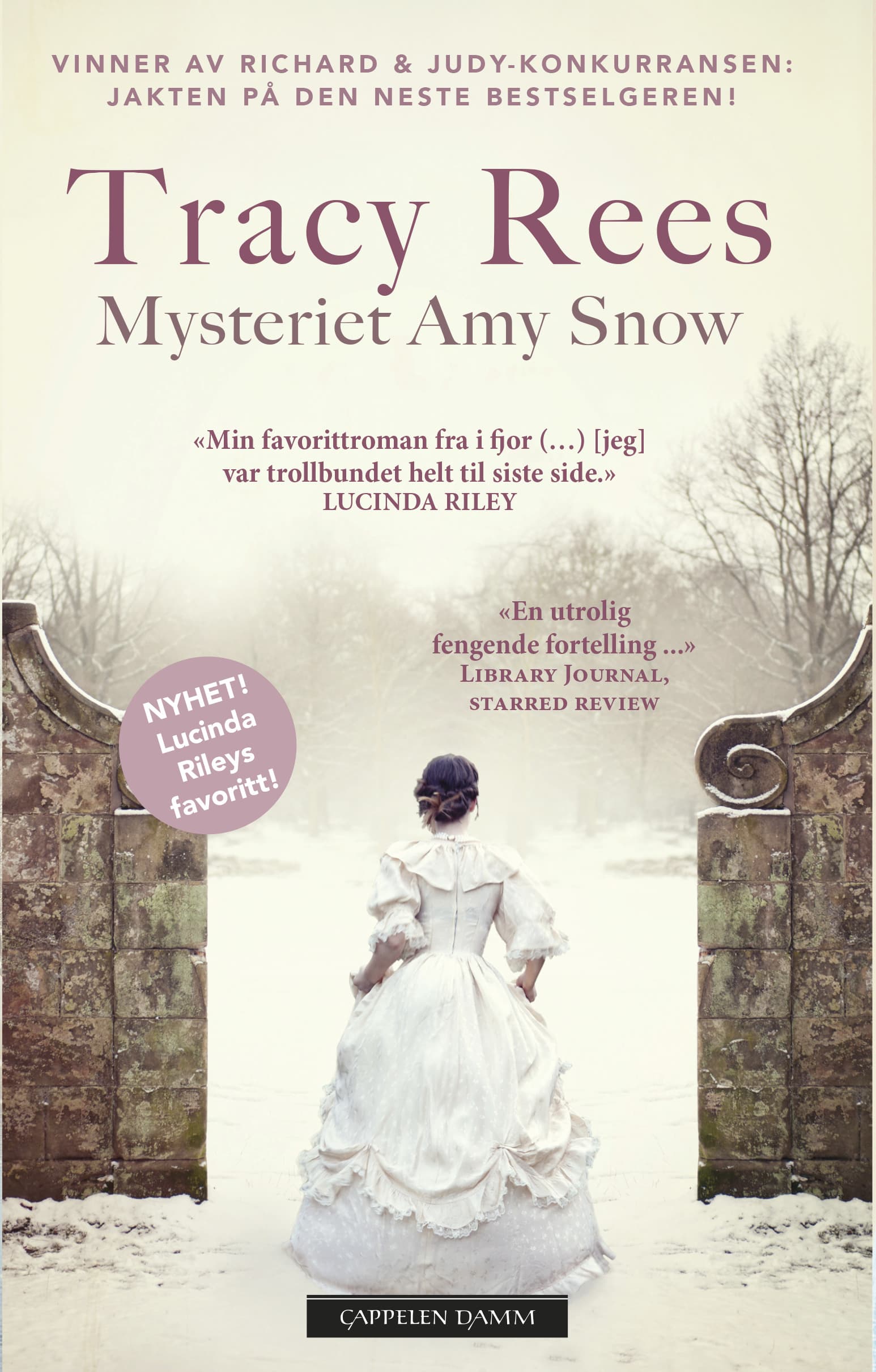 Omslag Mysteriet Amy Snow av Tracy Rees (Heftet)
