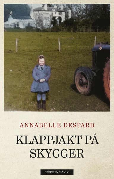 Omslag av "Klappjakt på skygger"