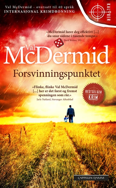 Omslag av "Forsvinningspunktet"