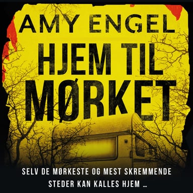 Omslag av "Hjem til mørket"
