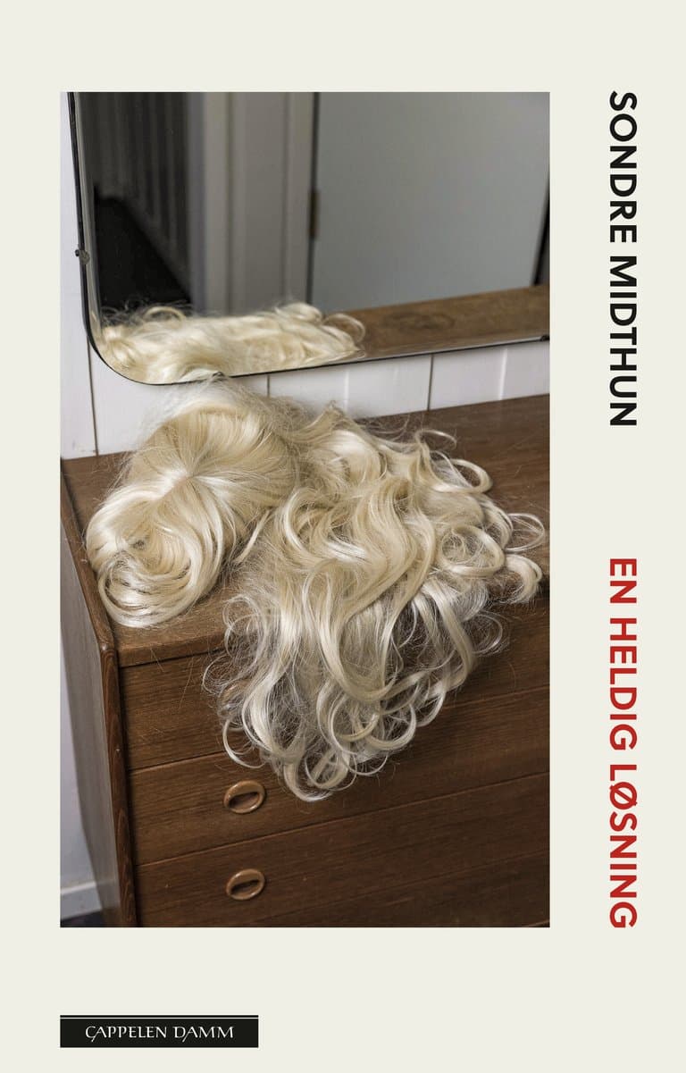 Omslag En heldig løsning av Sondre Midthun (Ebok)