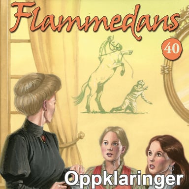 Omslag av "Oppklaringer"