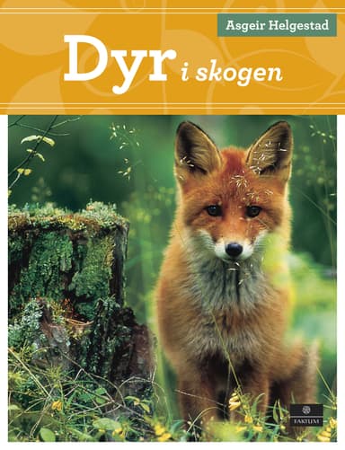 Dyr i skogen