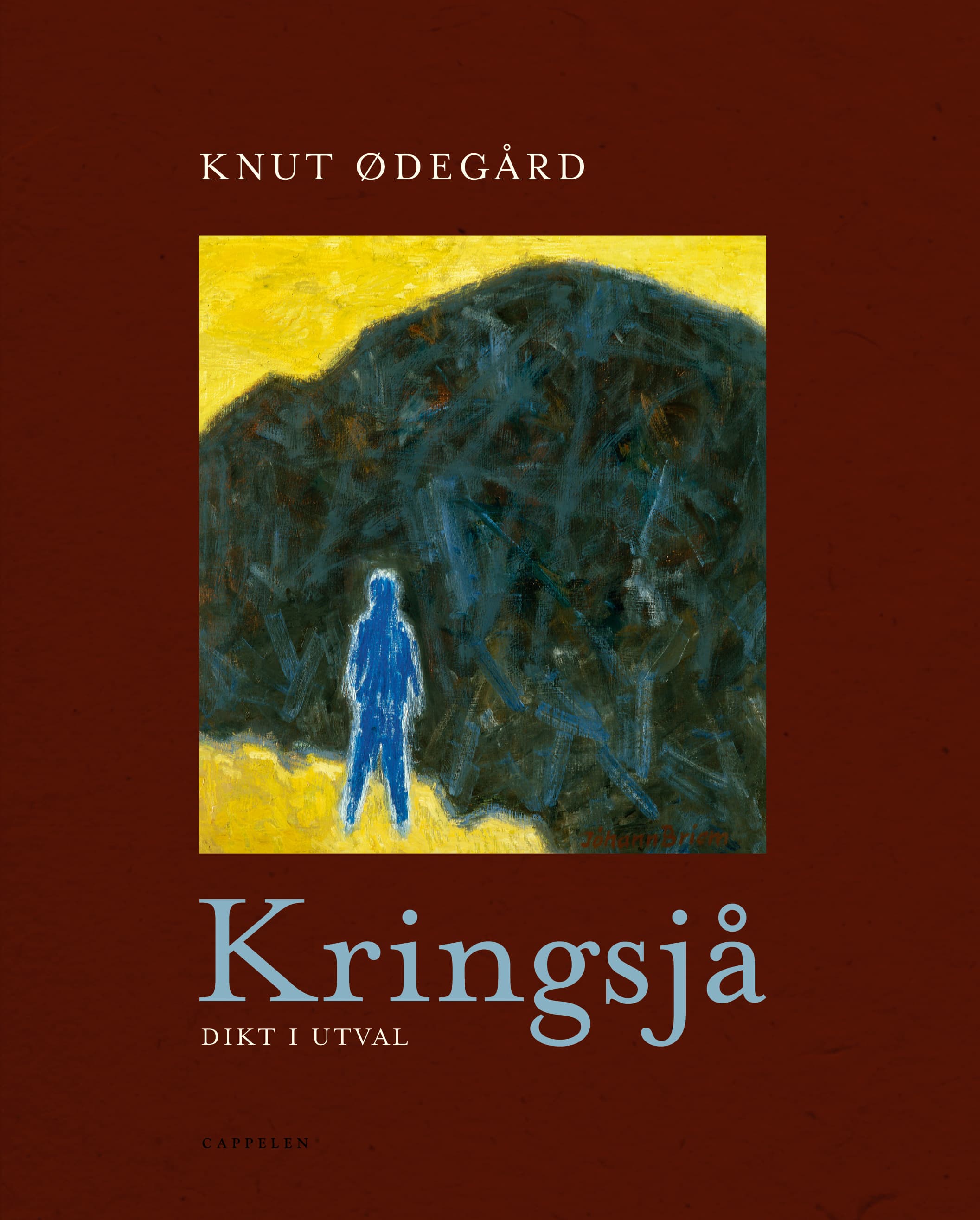 Omslag Kringsjå av Knut Ødegård (Ebok)