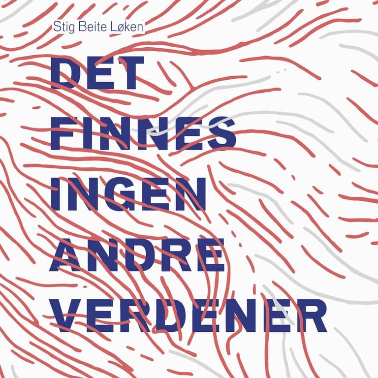 Omslag Det finnes ingen andre verdener av Stig Beite Løken (Lydbok)