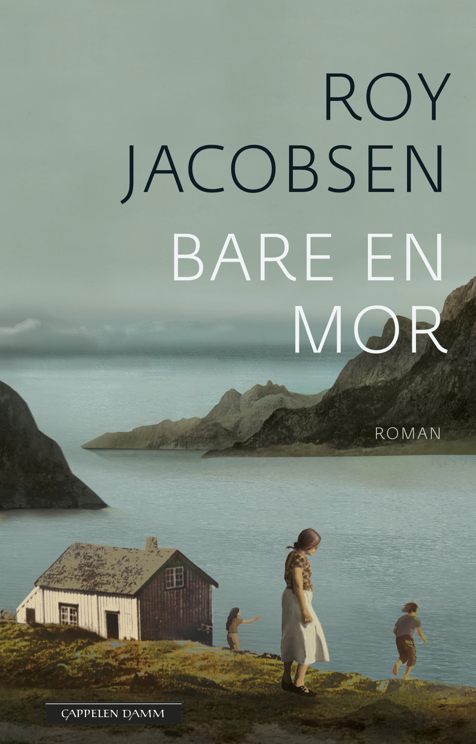 Omslag Bare en mor av Roy Jacobsen (Innbundet)