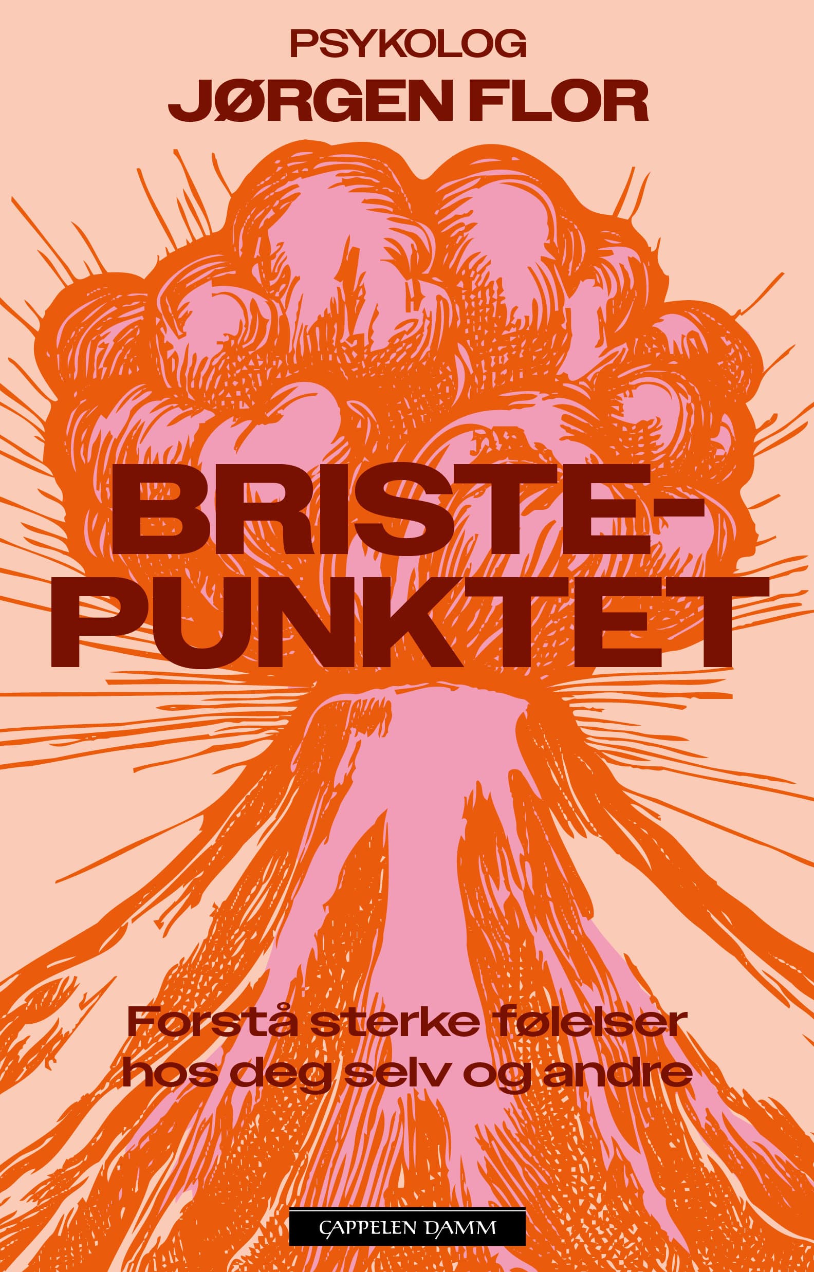 Omslag Bristepunktet av Jørgen Flor (Innbundet)