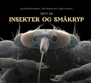 Omslag av "Tett på insekter og småkryp"