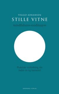 Omslag av "Stille vitne"