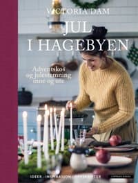 Omslag av "Jul i hagebyen"