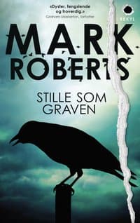 Omslag av "Stille som graven"