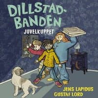Omslag av "Juvelkuppet"