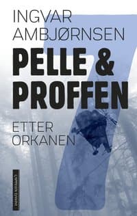 Omslag av "Etter orkanen"