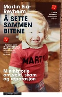 Omslag av "Å sette sammen bitene"