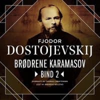 Omslag av "Brødrene Karamasov - Bind 2"
