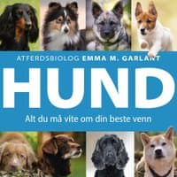 Omslag av "HUND - Alt du må vite om din beste venn"
