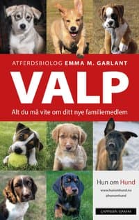 Omslag av "VALP"