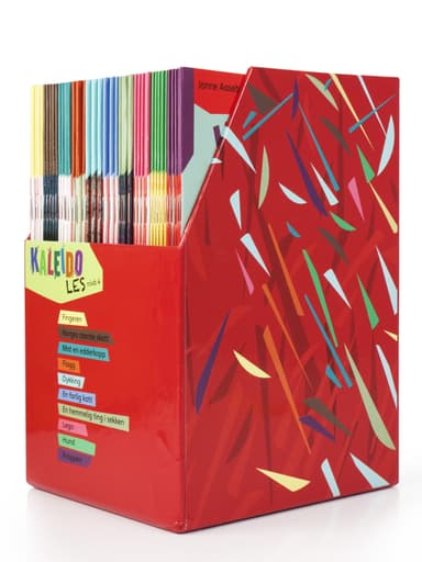 Kaleido Les Nivå 4 (boks)
