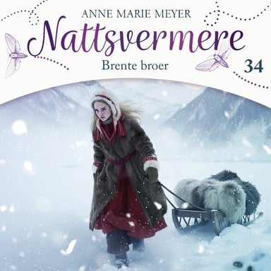 Omslag av "Brente broer"