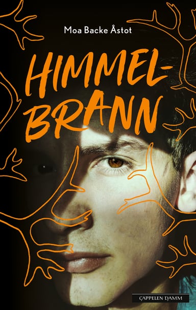 Omslag av "Himmelbrann"