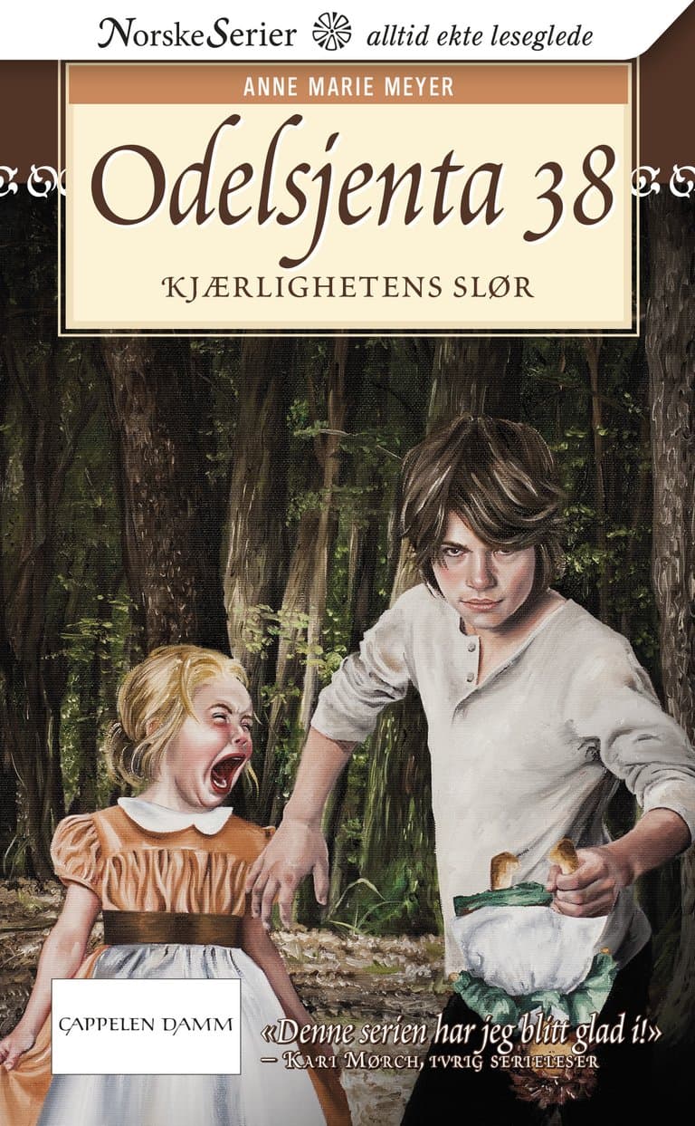 Omslag Kjærlighetens slør av Anne Marie Løvlie Meyer (Ebok)