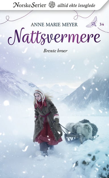 Omslag av "Brente broer"