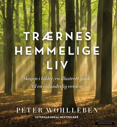 Omslag av "Trærnes hemmelige liv (Illustrert utgave)"