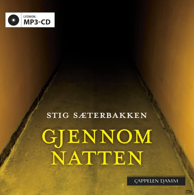 Omslag Gjennom natten av Stig Sæterbakken (CD)