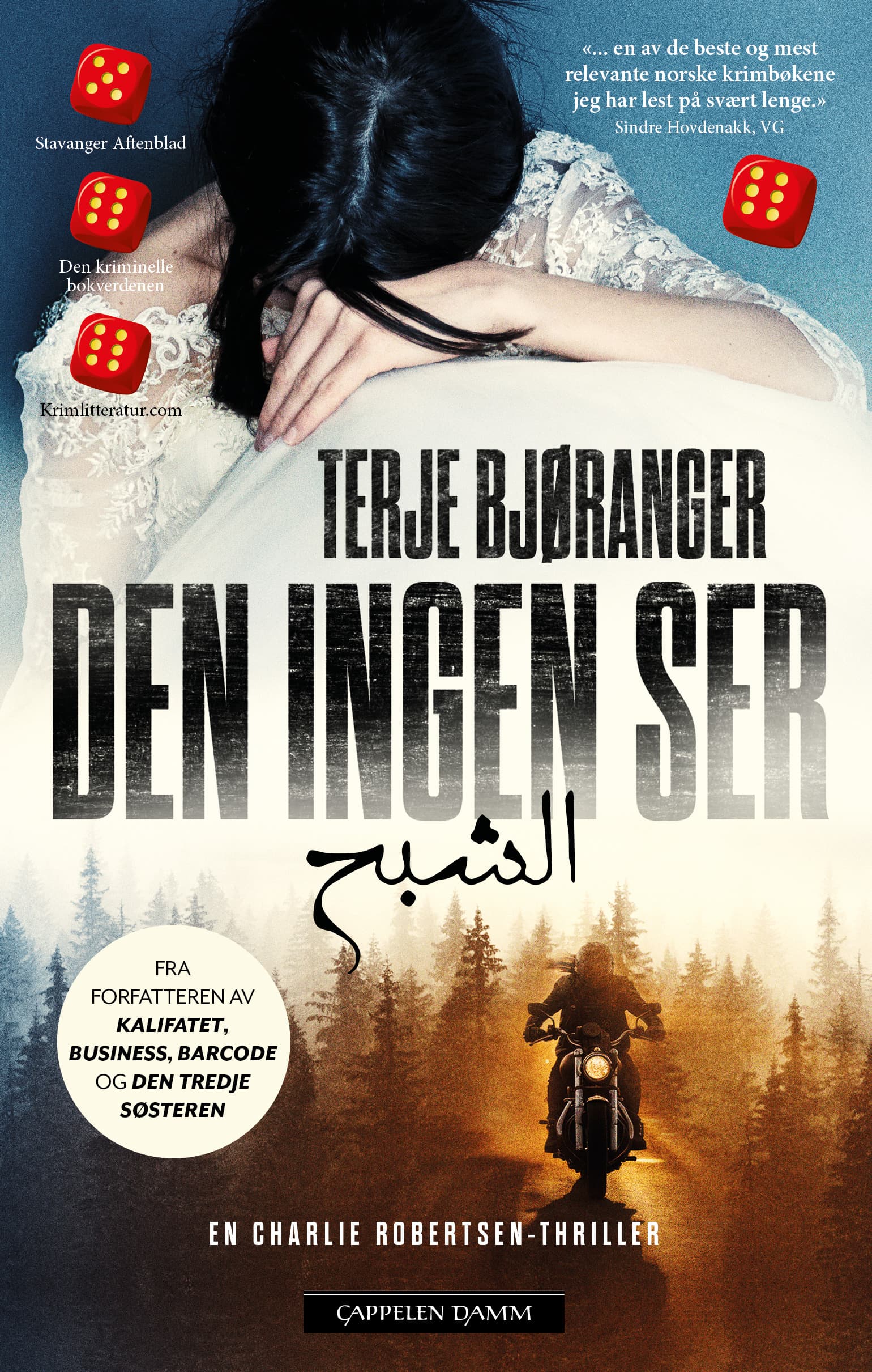 Omslag Den ingen ser av Terje Bjøranger (Ebok)
