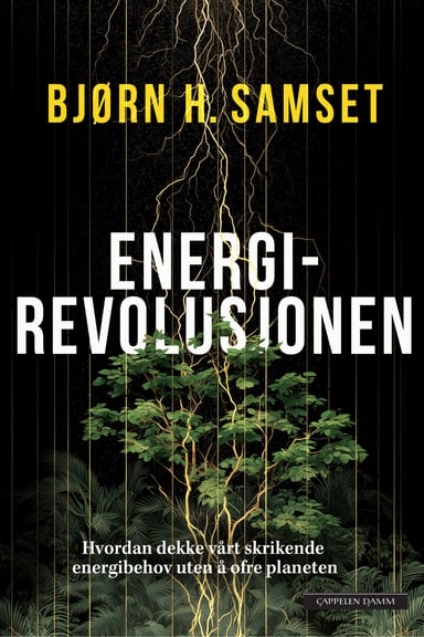 Omslag av "Energirevolusjonen"