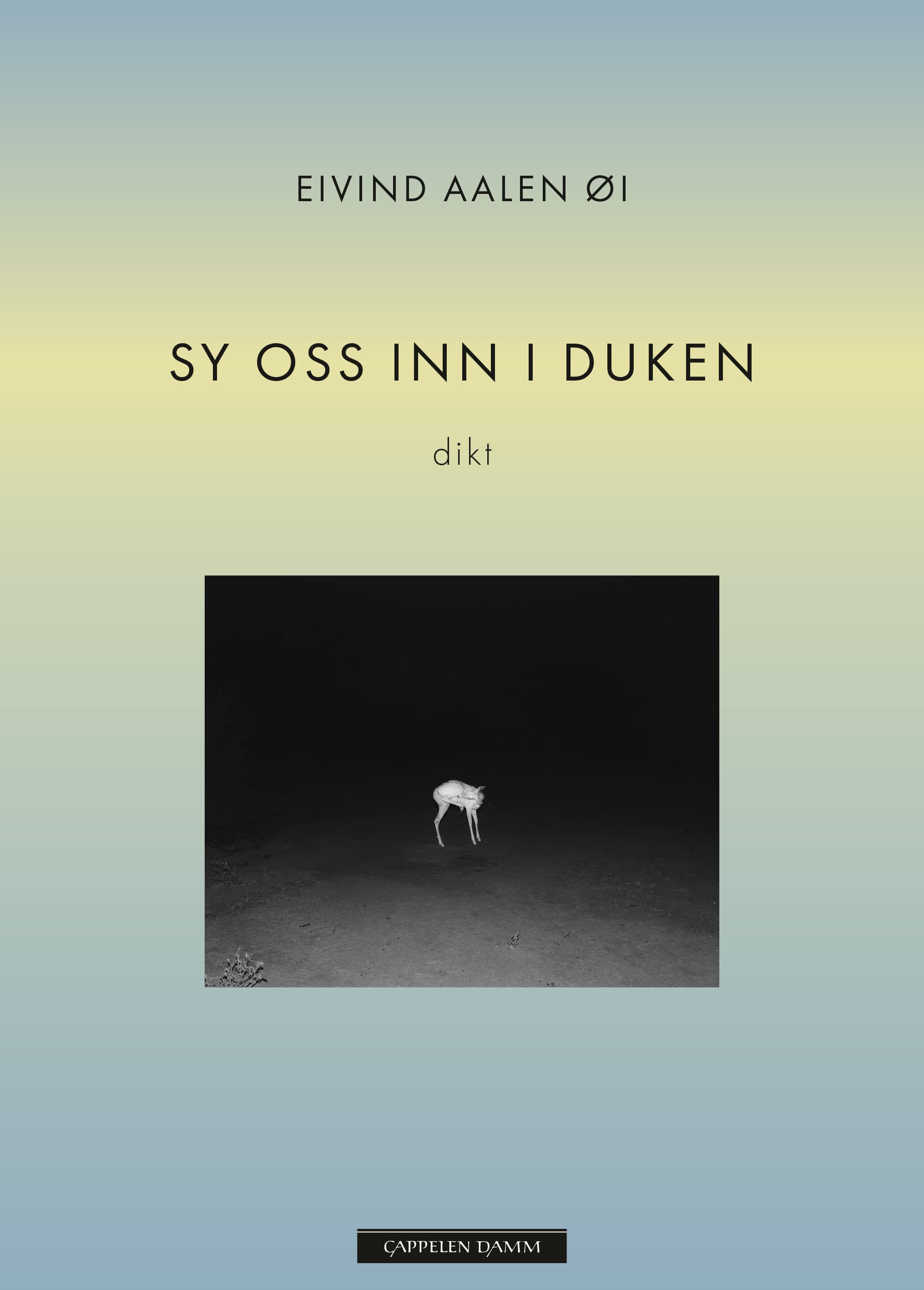 Omslag Sy oss inn i duken av Eike Aalen Øi (Ebok)