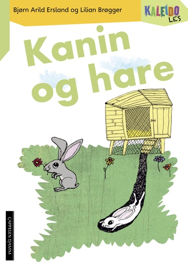 Omslag av "Kaleido Les Nivå 3 Kanin og hare"