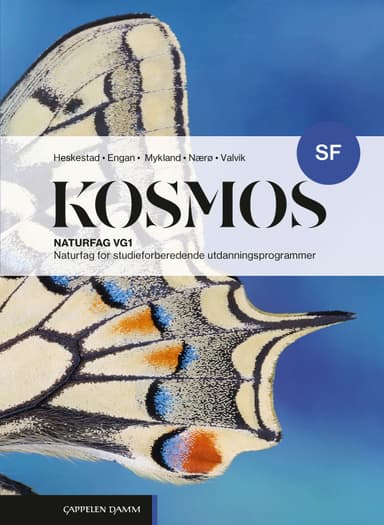 Kosmos SF (2026)