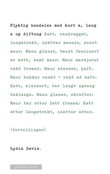 Omslag av "Flyktig hendelse med kort a, lang a og diftong"