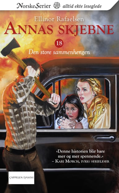 Omslag av "Den store sammenhengen"