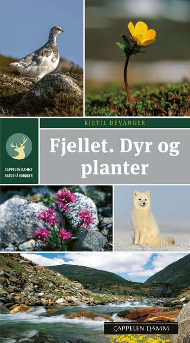 Fjellet. Dyr og planter