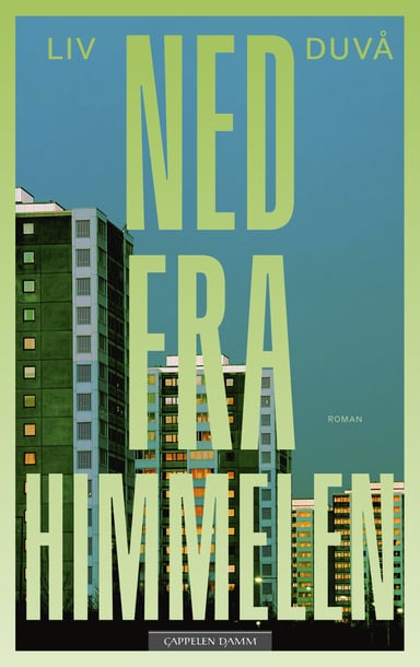 Omslag av "Ned fra himmelen"