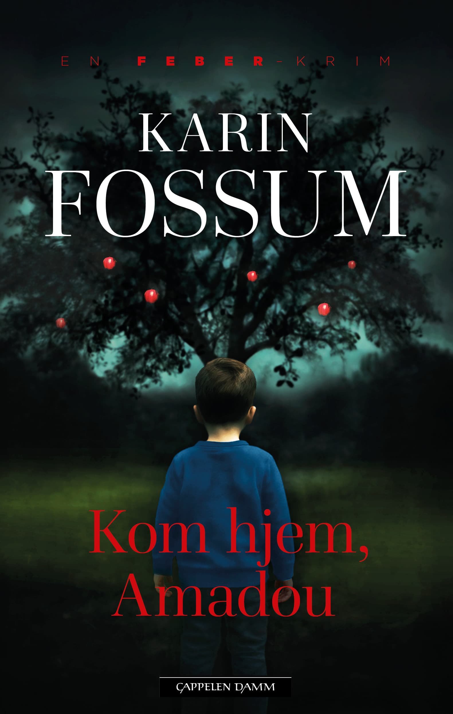 Omslag Kom hjem, Amadou av Karin Fossum (Ebok)