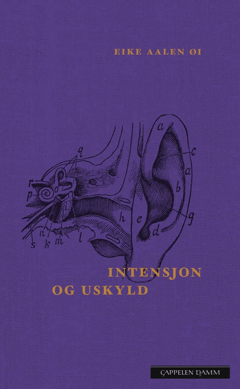 Omslag Intensjon og uskyld av Eike Aalen Øi (Innbundet)