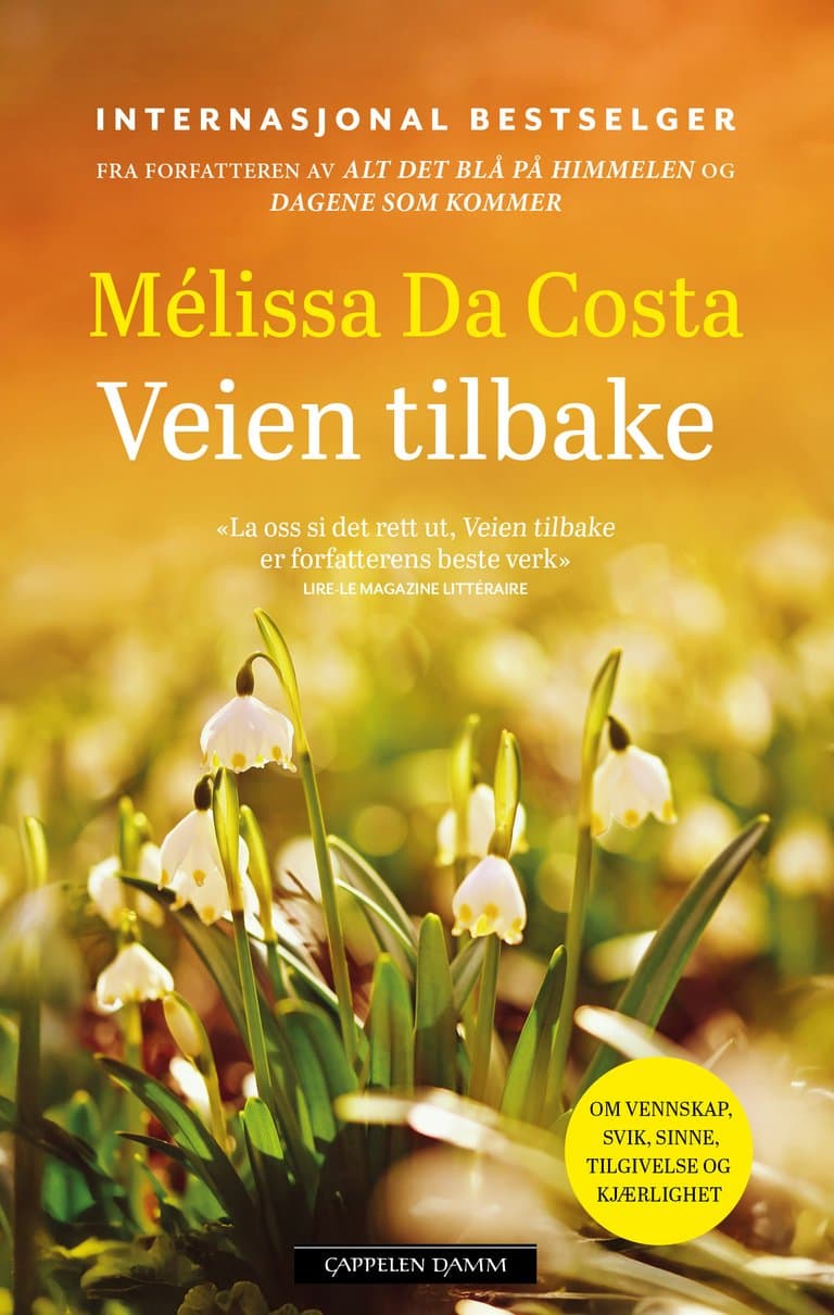 Omslag Veien tilbake av Mélissa Da Costa (Heftet)