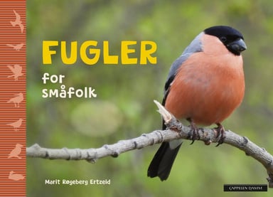 Omslag av "Fugler for småfolk"