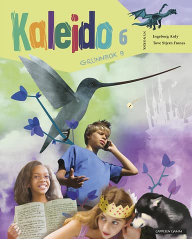Kaleido 6 Grunnbok B