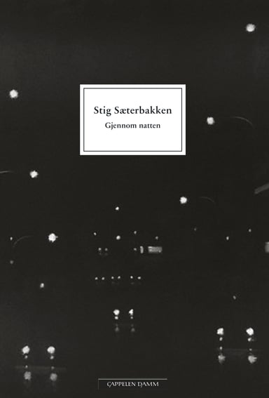 Omslag av "Gjennom natten"